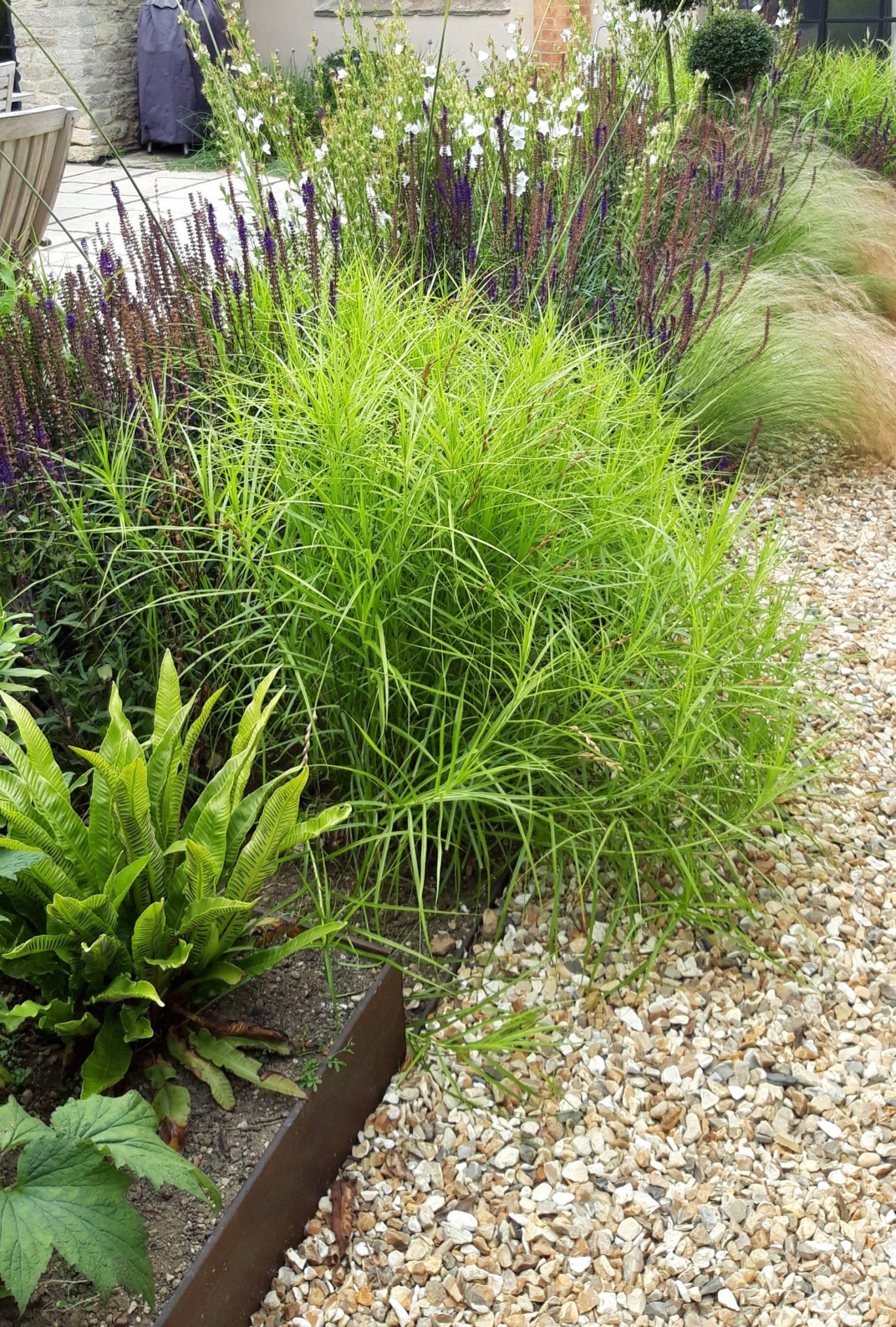 A variety of large, mature plants in pots, ready for installation in a garden landscape.