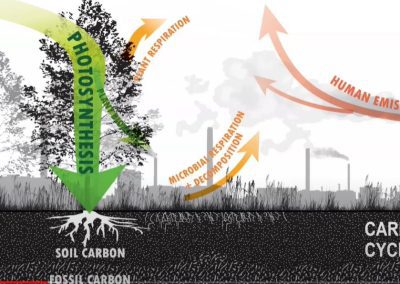 Climate Positive Design