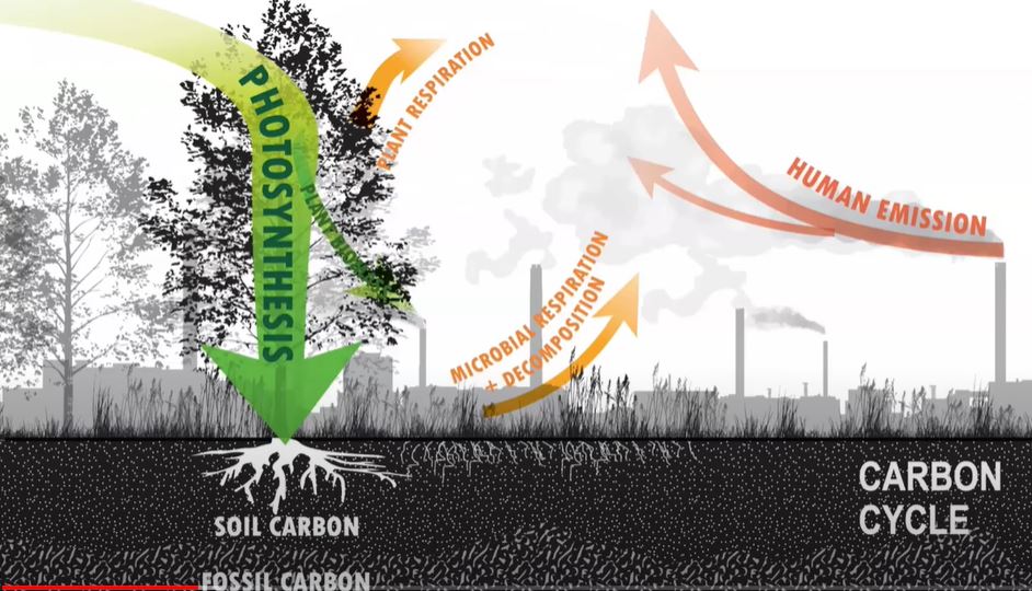 Climate Positive Design