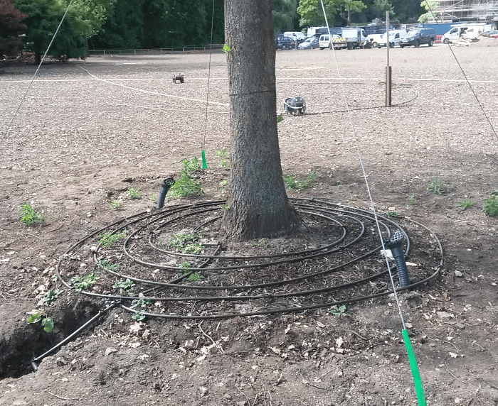 Tree irrigation system for project 7365 by Cotswold Estates and Gardens.