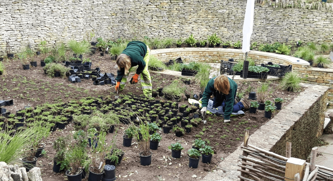 The planting stage of project 7573 by Cotswold Estates and Gardens.