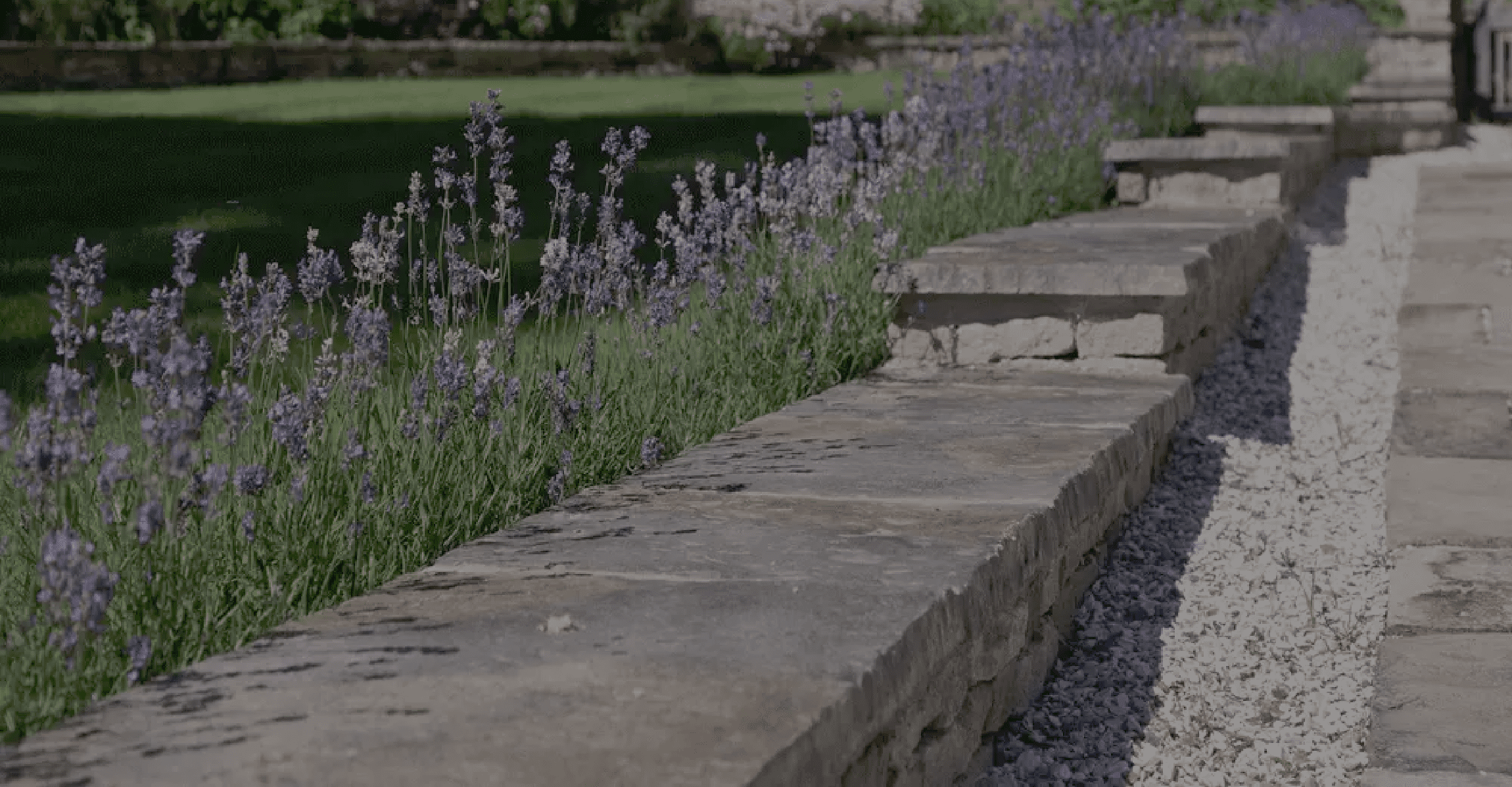 A wall with lavender planted behind it, designed by Cotswold Estates and Gardens.