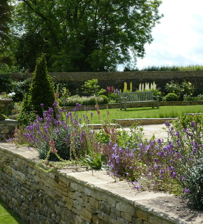 A wall with lavender planted on top, designed by Cotswold Estates and Gardens.