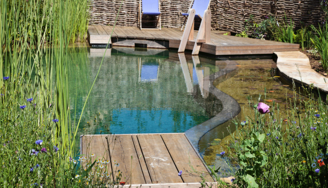 shipton Oliffe A natural swimming pond with a marginal planting filter bed, designed by Cotswold Estates and Gardens.