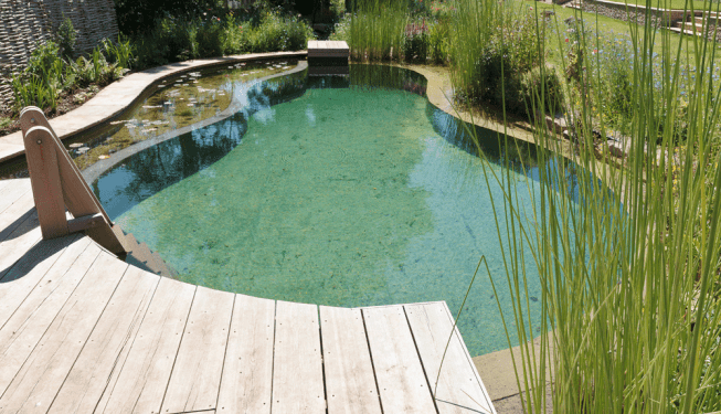 shipton Oliffe A natural swimming pond with a marginal planting filter bed, designed by Cotswold Estates and Gardens.