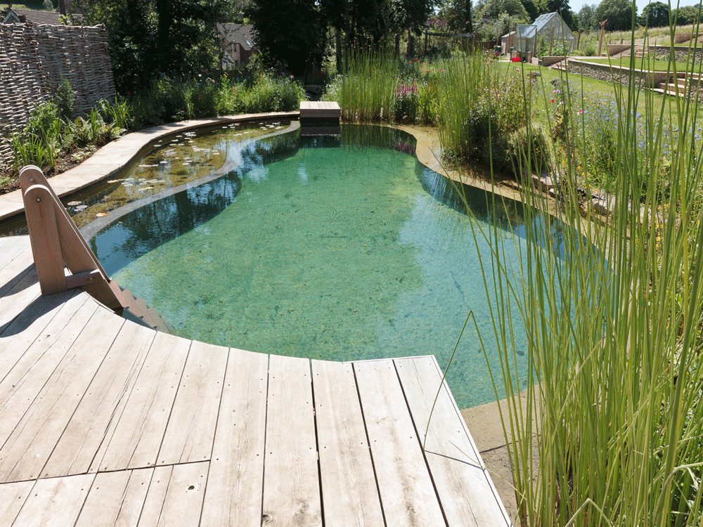 shipton Oliffe A natural swimming pond with a marginal planting filter bed, designed by Cotswold Estates and Gardens.