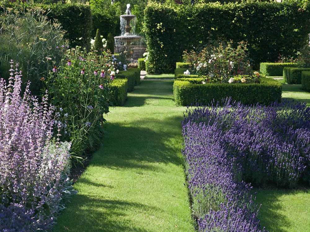 Lavender borders and a sunken lawn in a garden in Stow-on-the-Wold, designed by Cotswold Estates and Gardens.