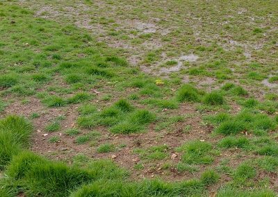 An area with poor grass establishment and significant water logging before landscaping improvements by Cotswold Estates and Gardens.