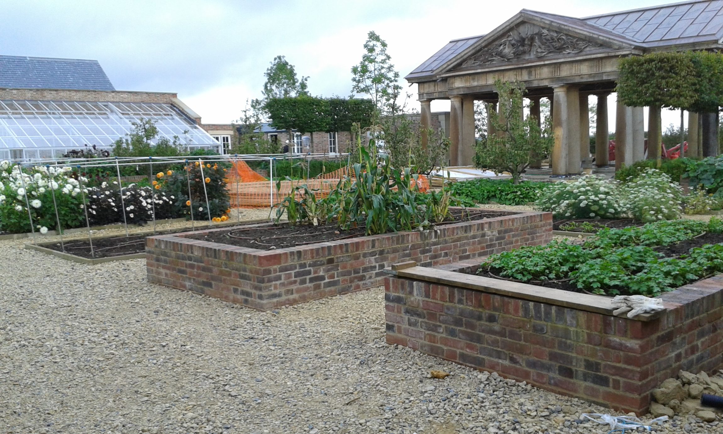 Brick planters filled with various vegetables.